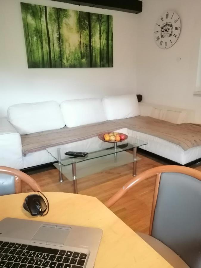 Apartma Zeus Jesenice Cameră foto